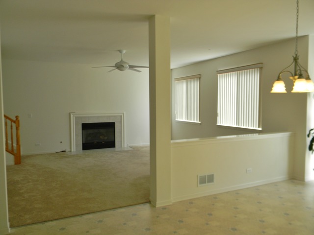 224 Ariana Dr, Bartlett, IL 60103 photo 6