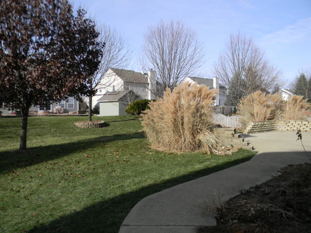 224 Ariana Dr, Bartlett, IL 60103 photo 20