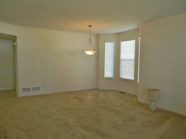 224 Ariana Dr, Bartlett, IL 60103 photo 2