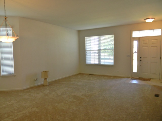 224 Ariana Dr, Bartlett, IL 60103 photo 3