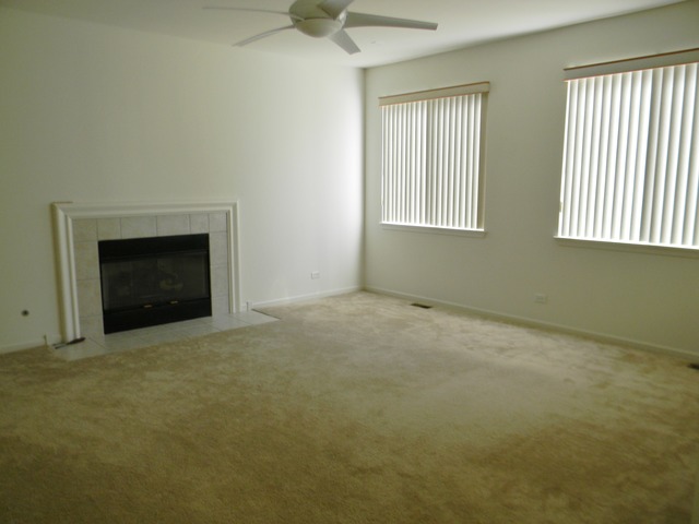 224 Ariana Dr, Bartlett, IL 60103 photo 7