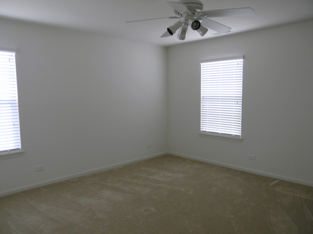 224 Ariana Dr, Bartlett, IL 60103 photo 13