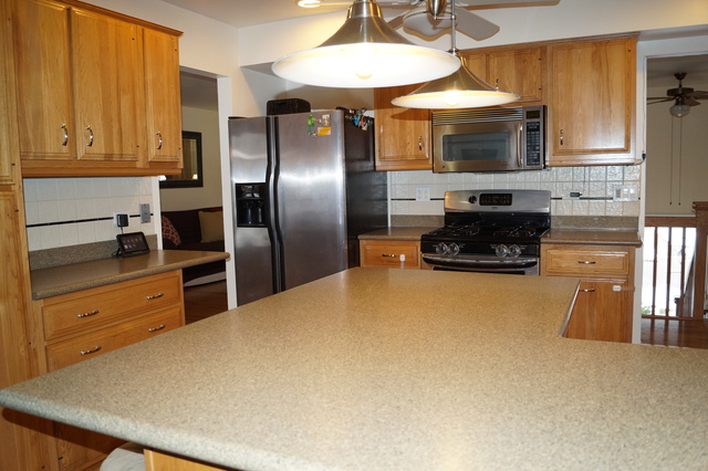 3850 N Firestone Dr, Hoffman Estates, IL 60192 photo 4