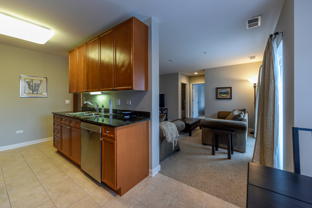 255 E Liberty Dr #504-2, Wheaton, IL 60187 photo 11