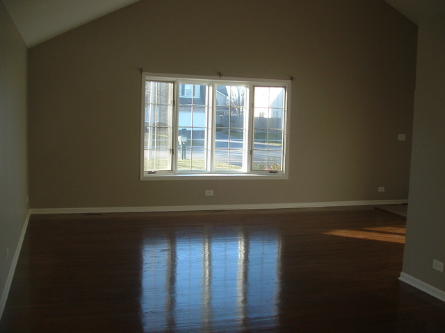 261 Central Ave, Matteson, IL 60443 photo 3