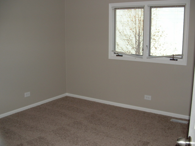 261 Central Ave, Matteson, IL 60443 photo 13