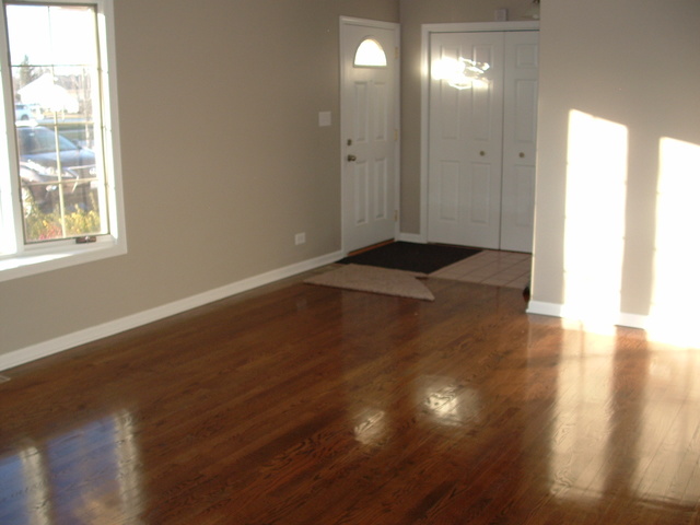 261 Central Ave, Matteson, IL 60443 photo 24