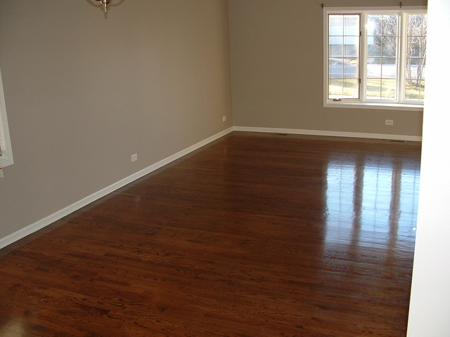 261 Central Ave, Matteson, IL 60443 photo 20