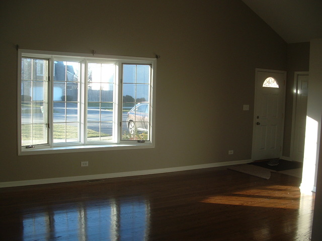 261 Central Ave, Matteson, IL 60443 photo 4