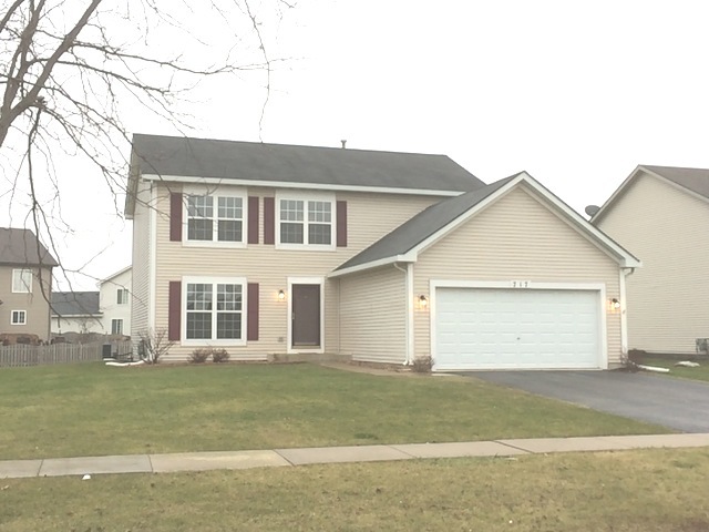 717 Brita Trl, Minooka, IL 60447 photo 1