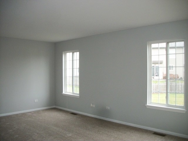 717 Brita Trl, Minooka, IL 60447 photo 6