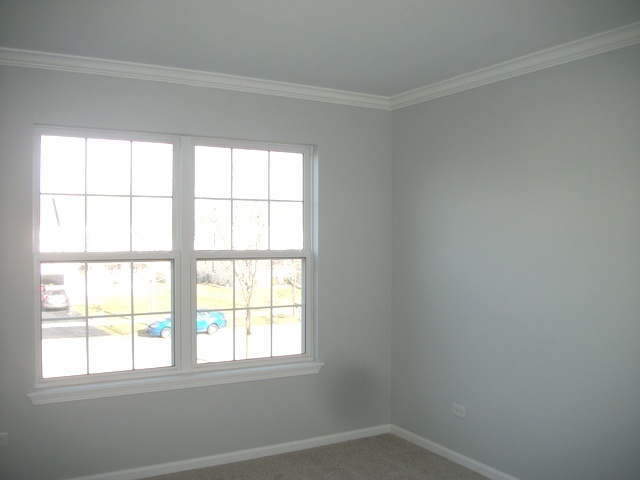 717 Brita Trl, Minooka, IL 60447 photo 15