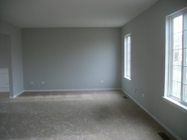 717 Brita Trl, Minooka, IL 60447 photo 7