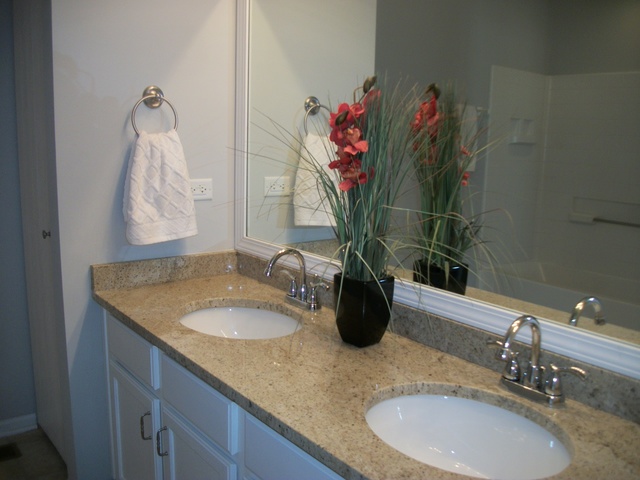 717 Brita Trl, Minooka, IL 60447 photo 17