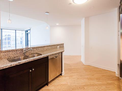60 E Monroe St #4604, Chicago, IL 60603 photo 13