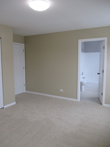 4704 Gilson Ct, Plainfield, IL 60586 photo 24