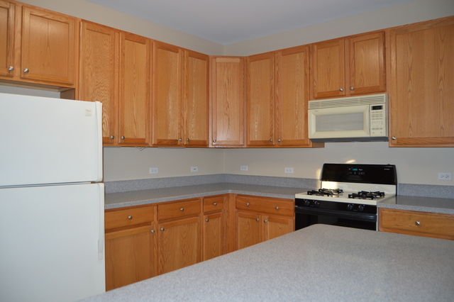 2493 Stonegate Rd, Algonquin, IL 60102 photo 2