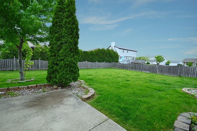 2115 Lolo Pass Dr, Plainfield, IL 60586 photo 17