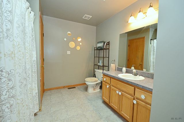 2115 Lolo Pass Dr, Plainfield, IL 60586 photo 10