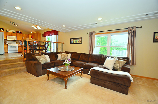2115 Lolo Pass Dr, Plainfield, IL 60586 photo 8