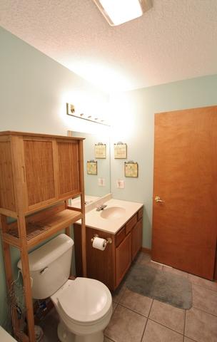 159 Diversatech Dr, Manteno, IL 60950 photo 16