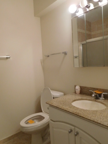 1500 Harbour Dr #1B, Wheeling, IL 60090 photo 18