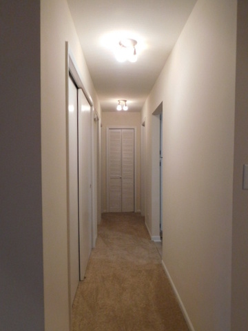 1500 Harbour Dr #1B, Wheeling, IL 60090 photo 11