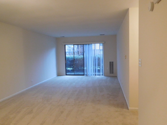 1500 Harbour Dr #1B, Wheeling, IL 60090 photo 5
