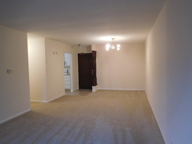 1500 Harbour Dr #1B, Wheeling, IL 60090 photo 6