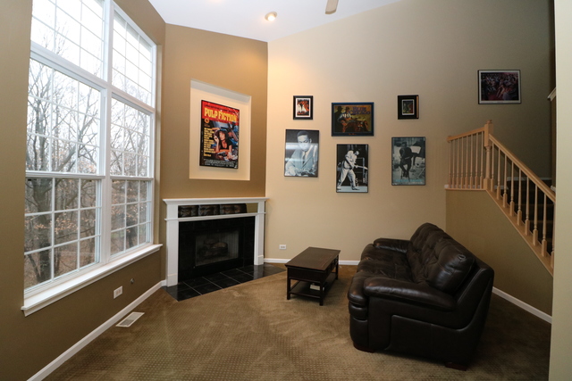 4 Brian Ct, Algonquin, IL 60102 photo 6