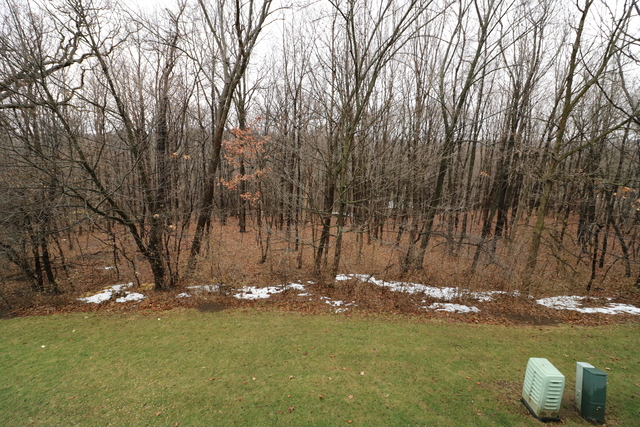 4 Brian Ct, Algonquin, IL 60102 photo 23