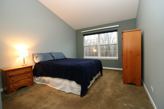 4 Brian Ct, Algonquin, IL 60102 photo 11