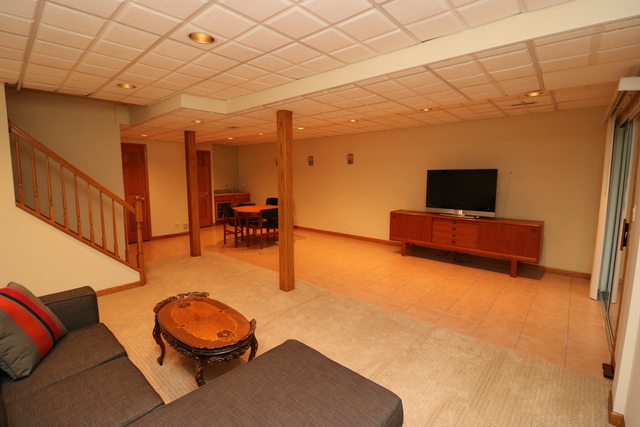 4 Brian Ct, Algonquin, IL 60102 photo 19
