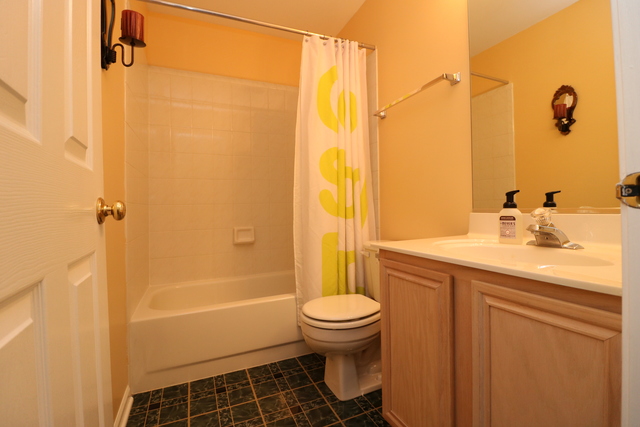4 Brian Ct, Algonquin, IL 60102 photo 15