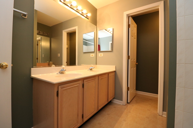 4 Brian Ct, Algonquin, IL 60102 photo 13