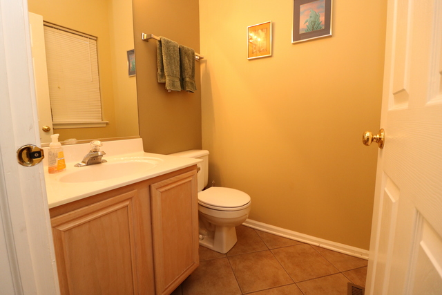 4 Brian Ct, Algonquin, IL 60102 photo 16