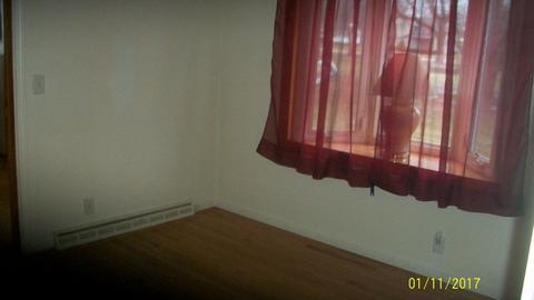 545 N 2nd St, Sheldon, IL 60966 photo 9
