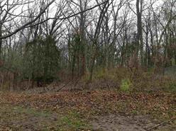 11128 Hamborg Rd, Roscoe, IL 61073 photo 25