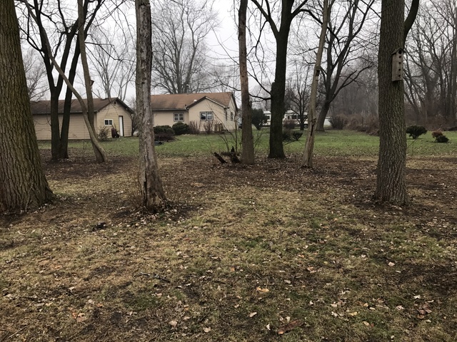 15524 Hamlin Ave, Markham, IL 60428 photo 21