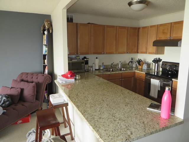 30 E Huron St #4206, Chicago, IL 60611 photo 4