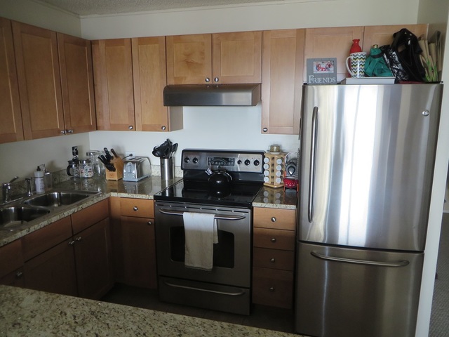 30 E Huron St #4206, Chicago, IL 60611 photo 3
