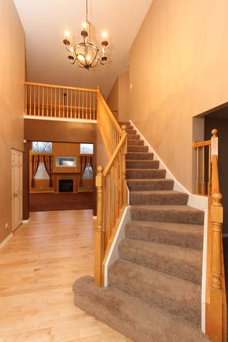 914 Limerick Ln, Mchenry, IL 60050 photo 3
