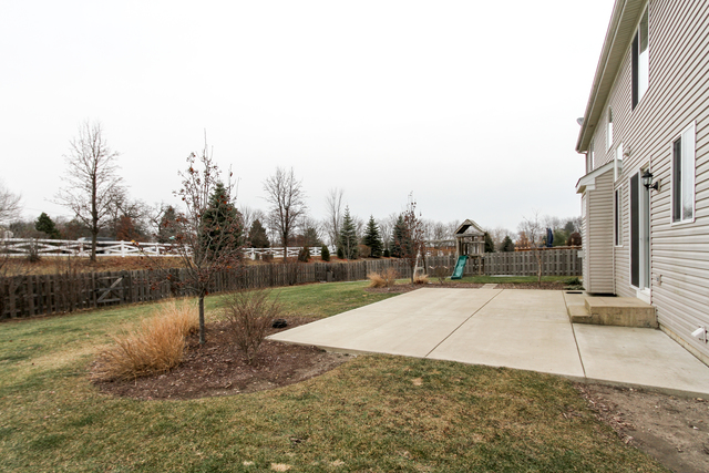 914 Limerick Ln, Mchenry, IL 60050 photo 25