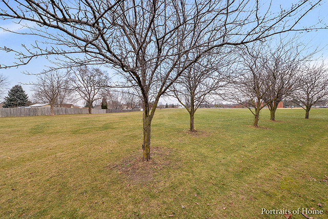 2950 Worcester Ln, Aurora, IL 60504 photo 14