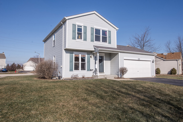 2121 Willow Lakes Dr, Plainfield, IL 60586 photo 1