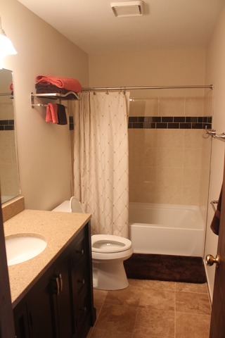 7734 W 62nd Pl, Summit, IL 60501 photo 10