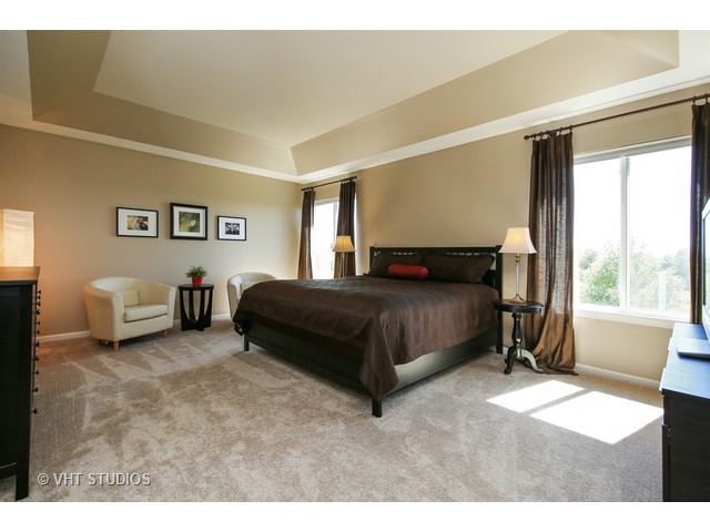 25247 Pavilion Pl, Plainfield, IL 60585 photo 15