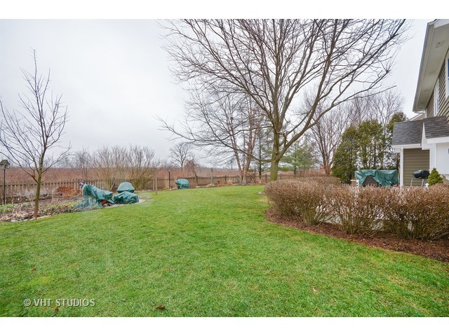 1146 Ancient Oaks Dr, Bartlett, IL 60103 photo 16