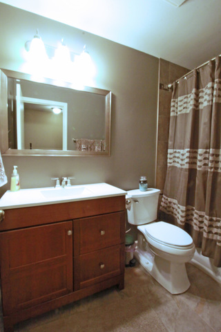 1504 Coolidge Ave, Wheaton, IL 60189 photo 20