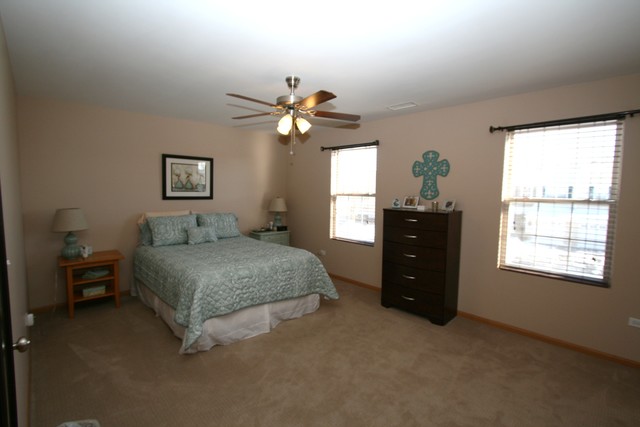 2507 Oak Tree Ln, Plainfield, IL 60586 photo 13
